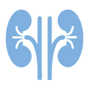 Nephrologist